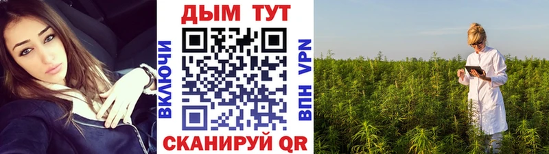 купить   Новохопёрск  Бошки Шишки план 